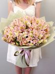 Pink alstroemerias
