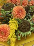 Bouquet Harvest