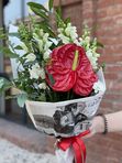 A bouquet of red anthurium