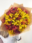 Red and yellow alstroemeria