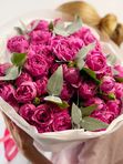 Pink spray roses