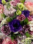 Bouquet Youth