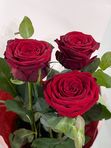 3 red roses