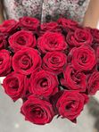 18 Red Roses in a black box