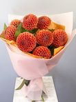 Orange dahlias