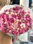 Pink sea Spray Pink Roses