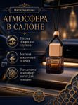 Автопарфюм Янтарный лес, парфюмерное масло для автомобиля, унисекс аромат, древесно-восточный, 7 мл