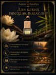 Автопарфюм Лотос и бамбук, 7 мл