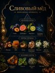 Масляные духи мужские Сливовый мёд , стойкие, шариковые, древесно-фужерный аромат, 4 мл