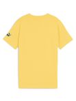 Tricou Puma Sport Graphic