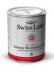 Intense Resistance Plus, степень блеска 3%, глубокоматовая, износостойкая