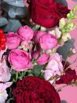 💎 «Важное чувство»