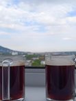 1-комн. квартира в самом модном жилом комплексе Пятигорска, Пальмиро Тольятти 45, цена за сут (от)