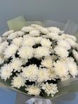 Букет из 9 кустовых хризантем Алтай