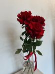 Букет из 3 бордовых французских роз на ленте