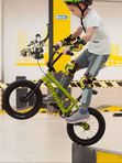 Разовая Индивидуальная тренировка BMX