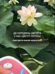 ИЮЛЬ | АВГУСТ| СЕНТЯБРЬ
