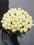 Букет из 51 белой розы (80-90 см)