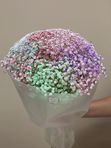 Букет из 9 гипсофил