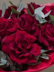 Букет из французских роз «Монмартр»