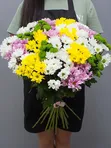 Букет из 25 кустовых хризантем (микс)