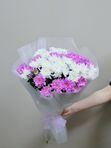 Букет из 15 кустовых хризантем (микс) в упаковке