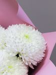 Букет из 7 белых одноголовых хризантем в упаковке