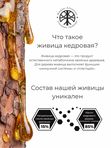 Живица кедровая 100 мл