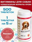Polidex Recovit кормовая добавка для восстановления организма собак после укуса клеща, операций, травм, потерь крови Полидекс Рековит,500таб