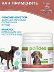 Polidex Protevit Plus для собак Кормовая добавка для увеличения мышечной массы, Полидек Протевит Плюс, 150 таб