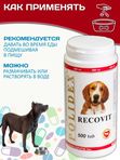 Polidex Recovit кормовая добавка для восстановления организма собак после укуса клеща, операций, травм, потерь крови Полидекс Рековит,500таб