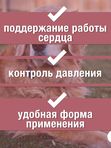 Таблетки от заболевания сердца Пчелодар Зоокард для средних собак Рамиплин 2,4 мг 20 таблеток с пчелиным маточным молочком