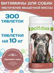 Polidex Protevit Plus для собак Кормовая добавка для увеличения мышечной массы Полидек Протевит Плюс, 300 таб