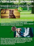 Комплексные капли от блох, клещей и гельминтов для собак до 10кг IN-UP Complex (ИН-АП) Празиквантел/Фипронил/Аверсектин С1