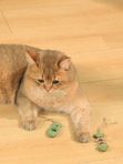 M-PETS Игрушка для кошек с кошачьей мятой CHARMY рыбки