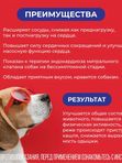 Таблетки для лечения сердечной недостаточности у собак Авекардит 1,25мг VIC, 28 таблеток Пимобендан