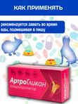 Кормовая добавка, хондропротектор нового поколения, улучшающая состояние печени и сердца у кошек, собак, крыс и хорьков АртроГликан (Биоцентр), 30таблеток
