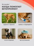 Ветопрофен нестероидный противовоспалительный препарат для средних и крупных собак на основе кетопрофена (Neoterica),10 таб Кетопрофен