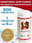 Polidex Multivitum Plus для собак для профилактики нарушений обмена веществ, витаминной и минеральной недостаточности, улучшения внешнего вида у собак Полидекс Мультивитум Плюс, 500таб