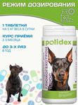 Polidex Glucogextron PLUS кормовая добавка для собак для профилактики повреждений и восстановления суставов, связок, сухожилий, соединительной ткани Полидекс Глюкогекстрон Плюс, 500таб