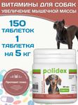 Polidex Protevit Plus для собак Кормовая добавка для увеличения мышечной массы, Полидек Протевит Плюс, 150 таб