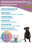 Polidex Glucogextron PLUS для собак кормовая добавка для профилактика повреждений и восстановление суставов, связок, сухожилий, соединительной ткани Полидекс Глюкогекстрон Плюс, 60таб
