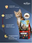 Сухой корм Mr.Buffalo ADULT для кошек с курицей 10 кг