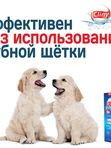 Гель зубной для кошек и собак Cliny с ионами серебра и витамином В5 75мл