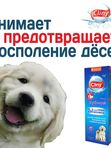Гель зубной для кошек и собак Cliny с ионами серебра и витамином В5 75мл