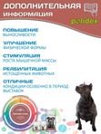 Polidex Protevit Plus для собак кормовая добавка для увеличения мышечной массы, Полидек Протевит Плюс, 60 таб