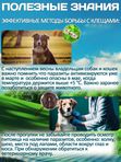 Принокат капли на холку от блох, клещей, вшей, власоедов и гельминтов для собак менее 4 кг (KRKA), Имидаклоприд/Моксидектин