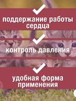Таблетки от заболевания сердца Пчелодар Зоокард для кошек Рамиплин 1,2 мг 10таблеток с пчелиным маточным молочком