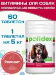 Polidex Recovit кормовая добавка для восстановления организма собак после укуса клеща, операций, травм, потерь крови Полидекс Рековит, 60 таб
