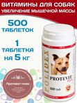 Polidex Protevit Plus для собак кормовая добавка для увеличения мышечной массы, Полидек Протевит Плюс, 500 таб